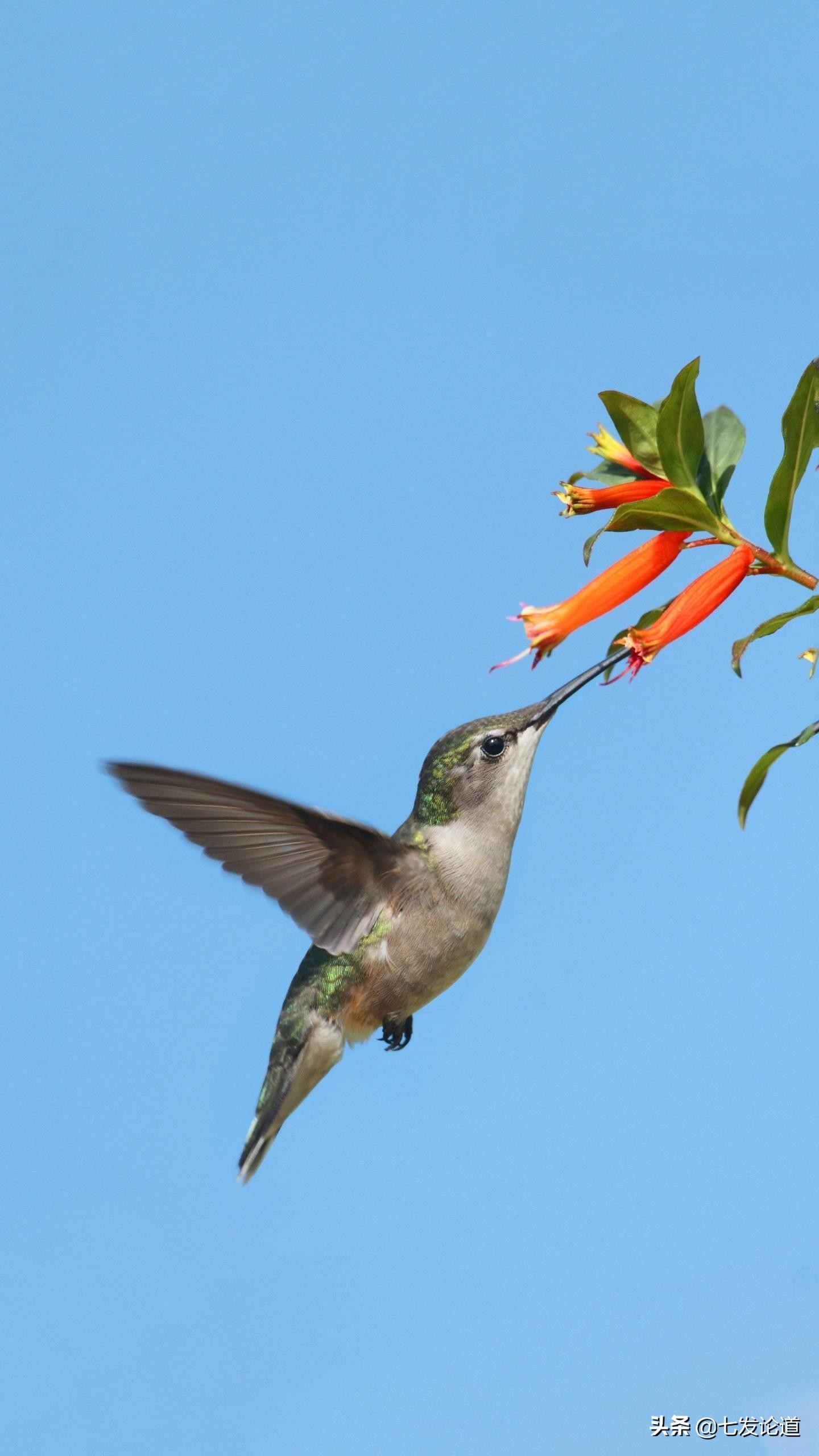 期货锁仓需要保证金吗,期货交易中锁仓的使用