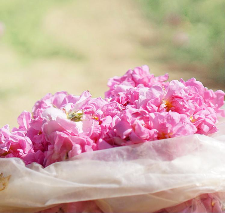 精油的有效期限是多久,精油一般开了保质期是多久