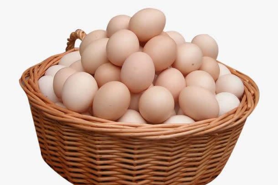 鸭减蛋综合征怎么治疗,减蛋综合症能恢复不