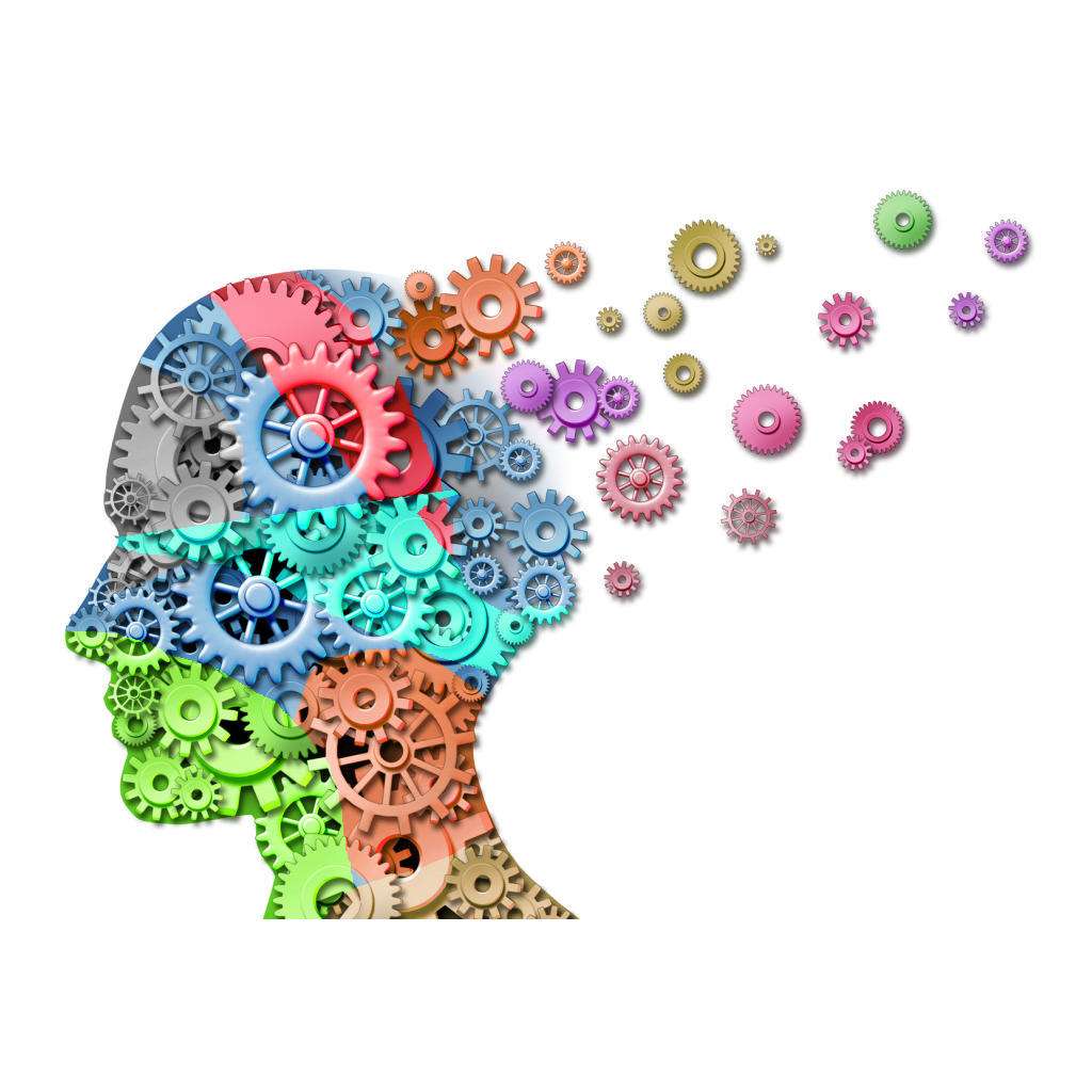 如何成为学霸学习方法五年级,怎样才能快速开发思维成为学霸