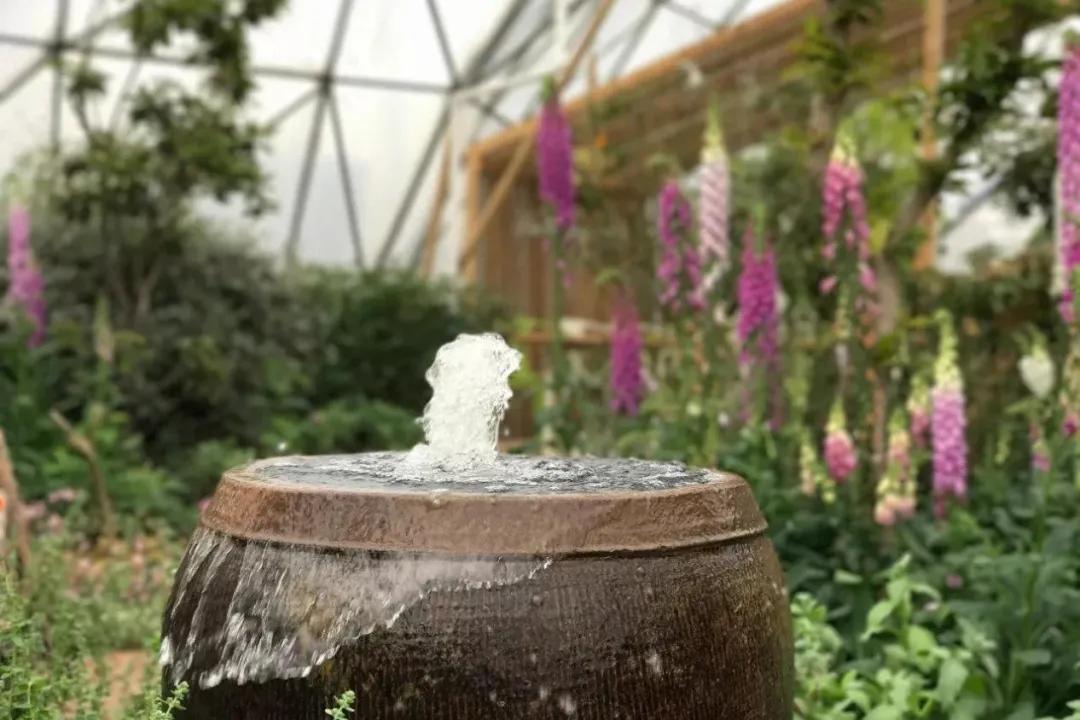 用低成本打造高颜值农场,广东夫妇超省钱