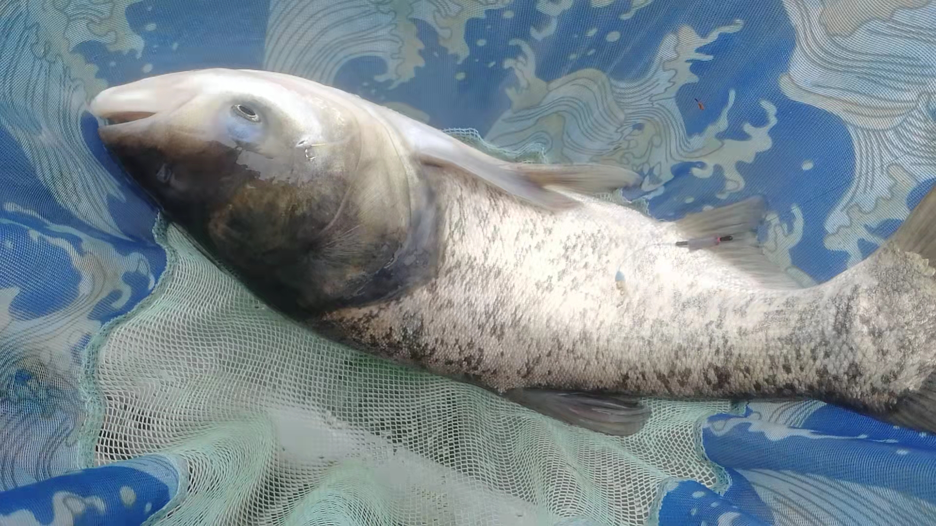 享受生活，游钓山水，光威与我同行