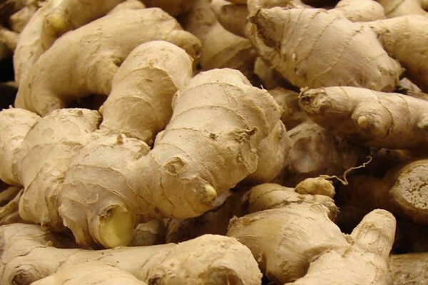 大姜高产技术施什么肥料,大姜育芽种植方法