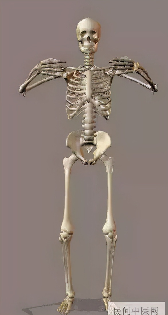 站桩时怎样练好气功,不站桩能练出功夫吗