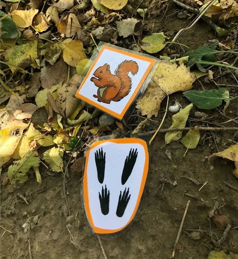 错过第二期北纬45°自然教育国际工作坊不要紧，满满的干货在这里