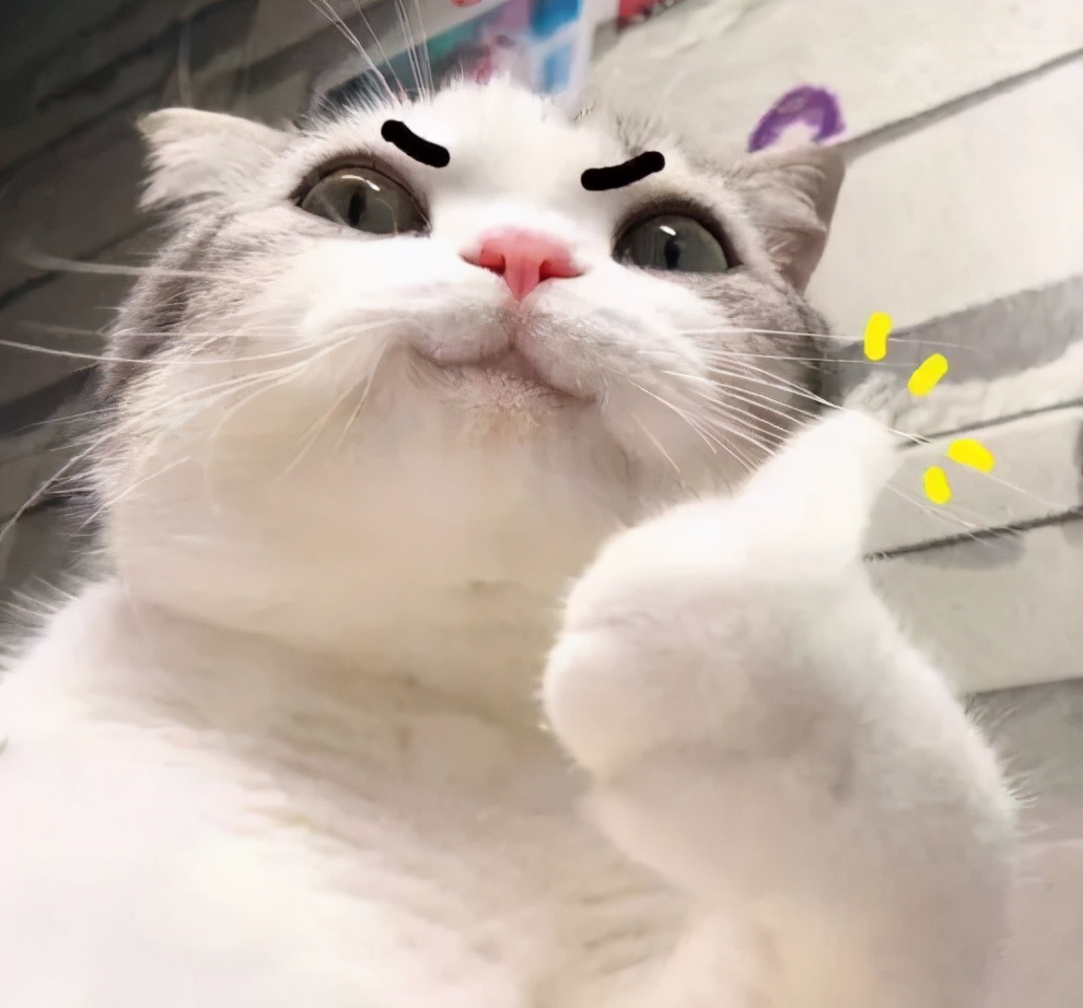 来广州才有的奶茶,来广州怎么玩