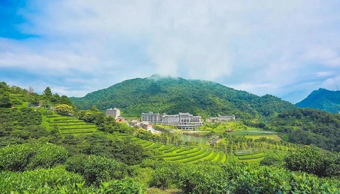 藏在云浮深山的农庄,云浮禅山度假酒店