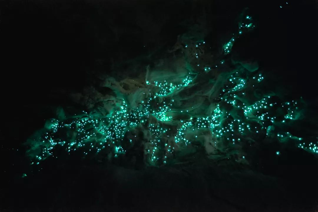 澳大利亚游的最佳线路,澳大利亚旅游攻略10天线路