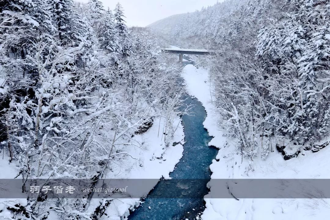 老实说,这一趟北海道就是为了拍好看的照片去的