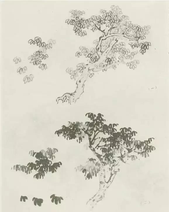 缠枝、挺杆、屈节、钮裂、一棵树如何画？看了这篇你绝对能学会