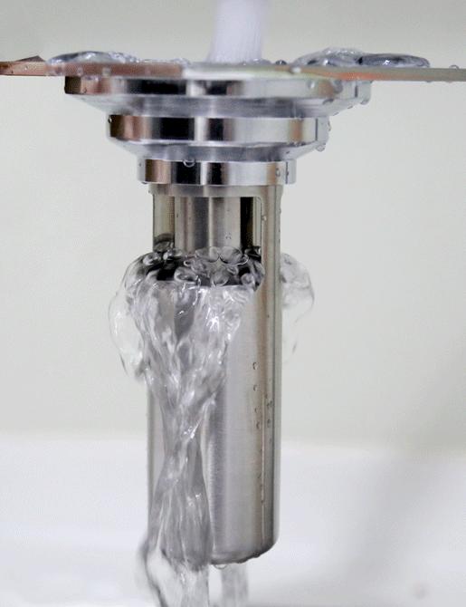 你家厕所≈生化房？做好这四点，远离异味细菌小飞虫