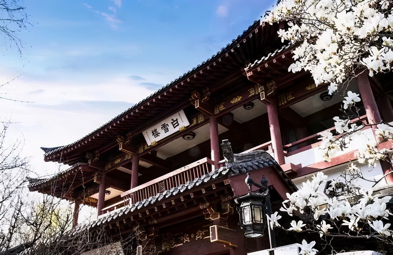 春天里最美的花儿，语文课本上的天下第一……一定要带孩子来