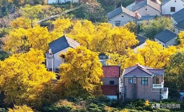 江苏旅游西山岛攻略图文,内湖洞庭西山岛