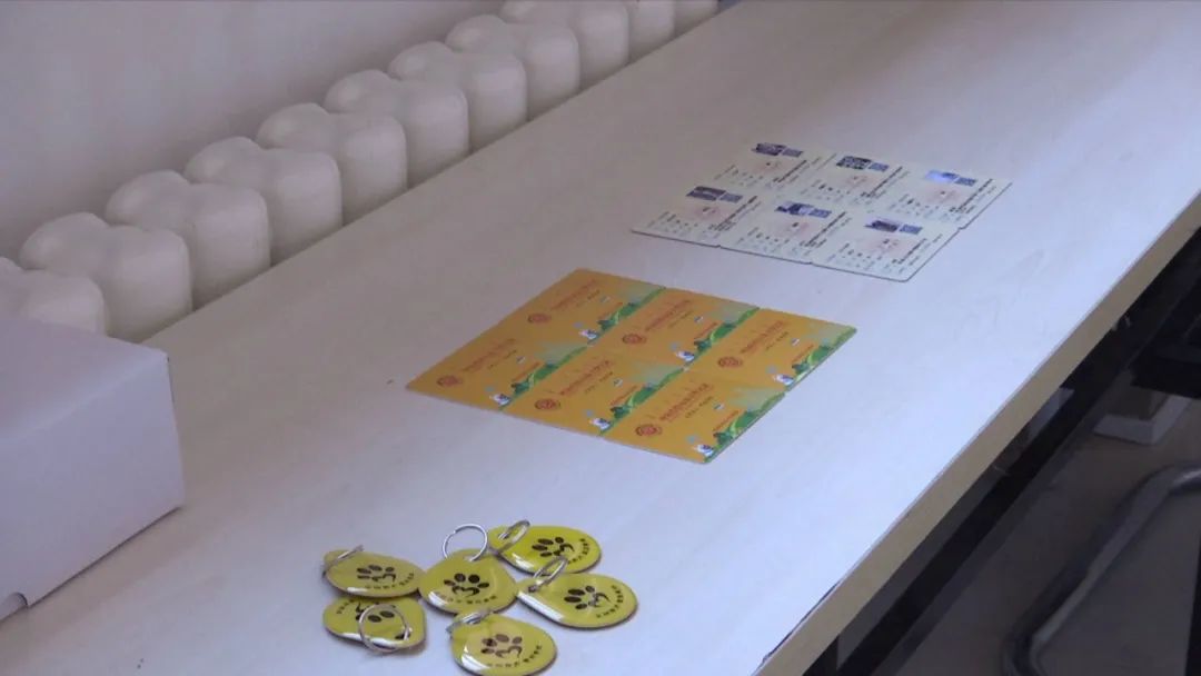 狗证如何线上办理,哈尔滨线上办理犬证