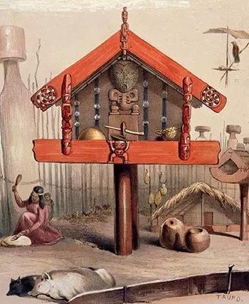 新西兰建筑真实情况,新西兰建筑行业现状