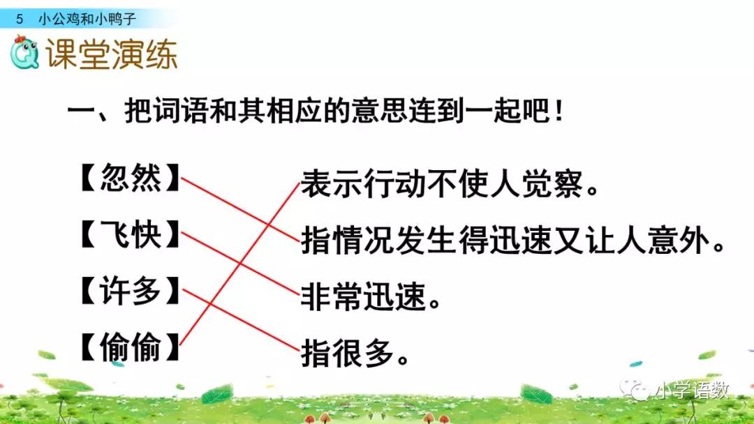 小公鸡和小鸭子一年级下册视频,一年级下语文小公鸡和小鸭子讲解