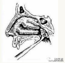 咽喉疾病科普知识,咽喉疾病动画科普视频