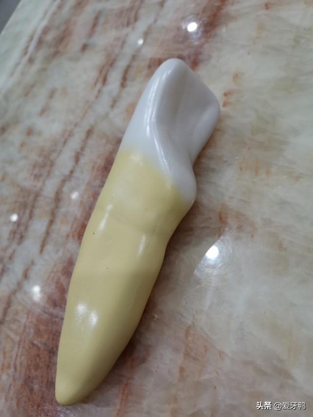 小孩把牙磕进去了怎么办,孩子磕到牙齿正确的处理方法