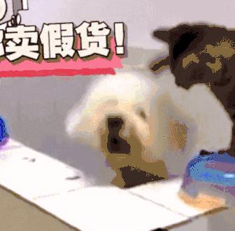 耐克彪马是假的吗,假耐克假彪马