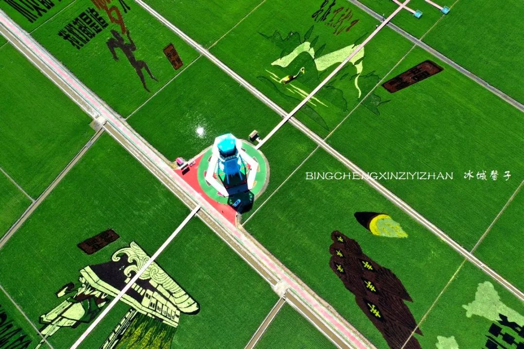 再返富锦，为着那份飘着稻花香的“湿”意约定