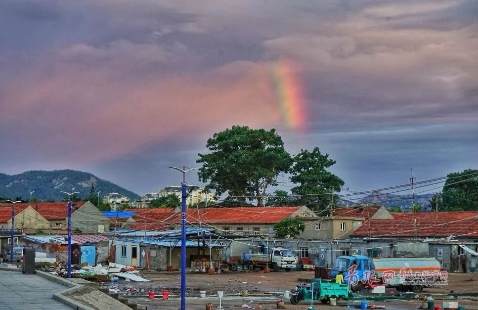 青岛雨后巨型彩虹,雨后青岛出现巨型彩虹照片
