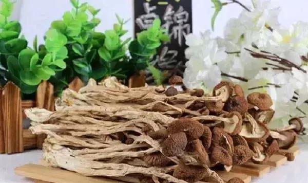 种一万袋茶树菇利润,农村姑娘创业种植