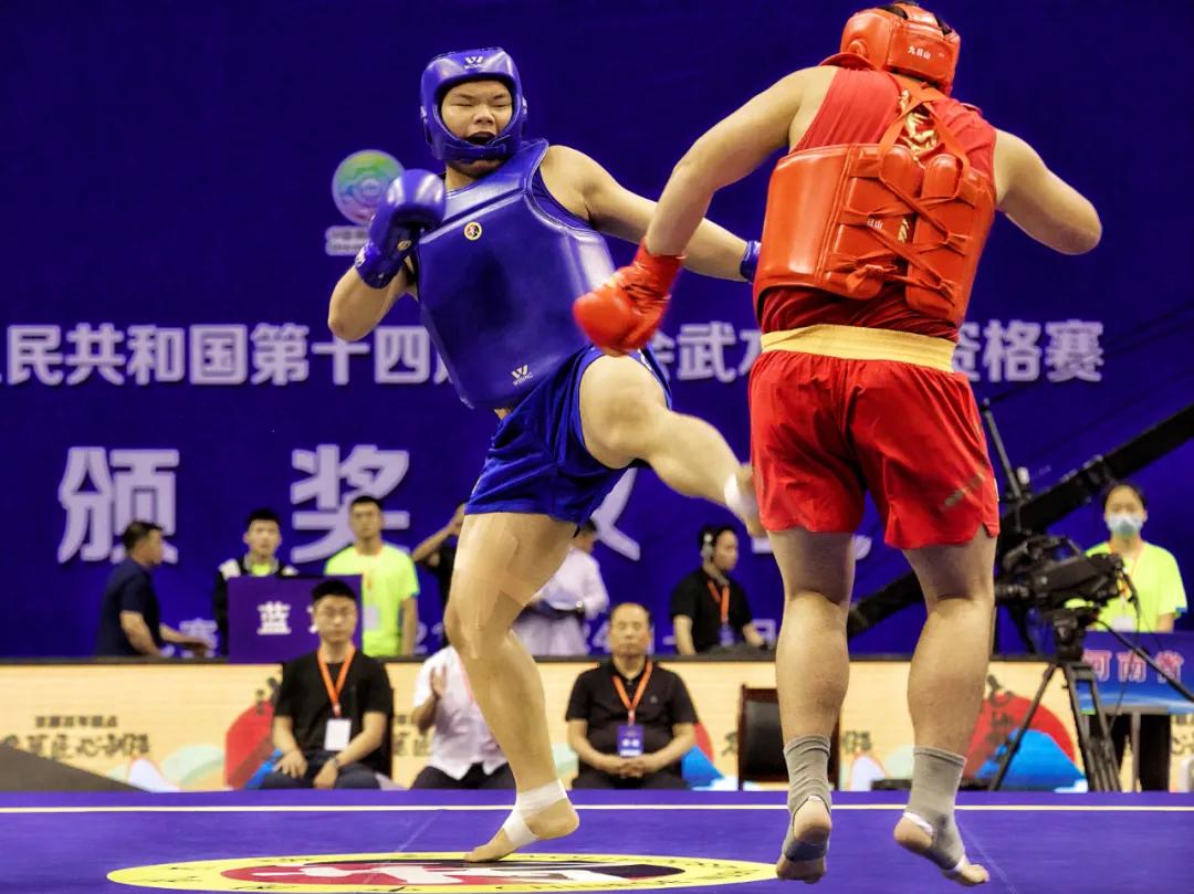 王友唐谈武术视频,王友唐评价武术