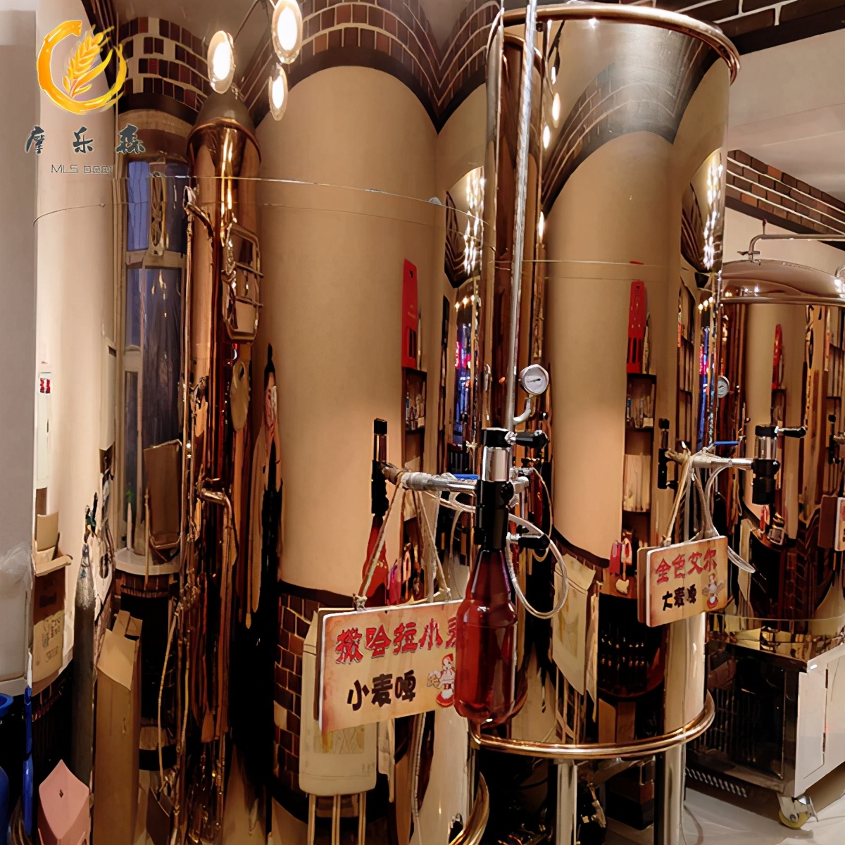 德国高端精酿啤酒设备,德国精酿啤酒设备