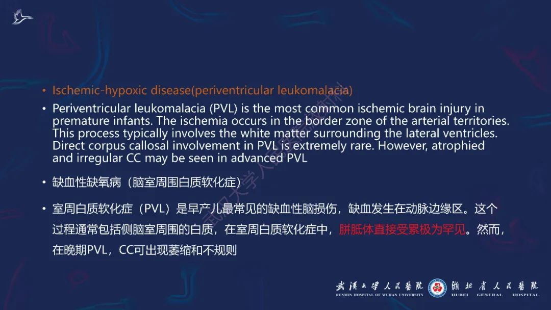 胼胝体肿瘤影像鉴别,胼胝体病变影像诊断