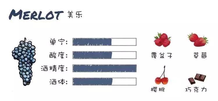 带你了解威士忌,美乐葡萄酒特点和口感