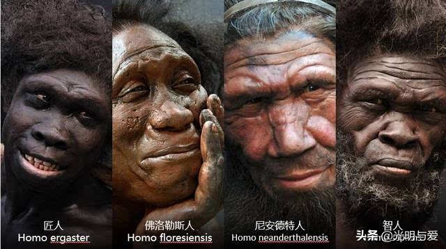 类人猿违背进化论疑点,进化论中的疑点是什么