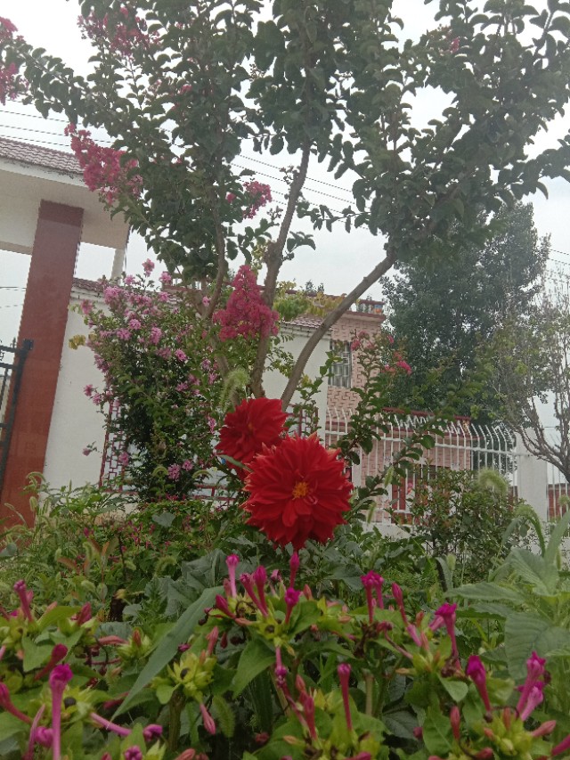 唐河县毕店镇常赵庄小学,多方联动创平安校园