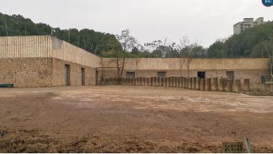 长沙动物园大象踩死人事件：官方称疑似56岁雄象发情导致悲剧；动保人士呼吁取消动物表演