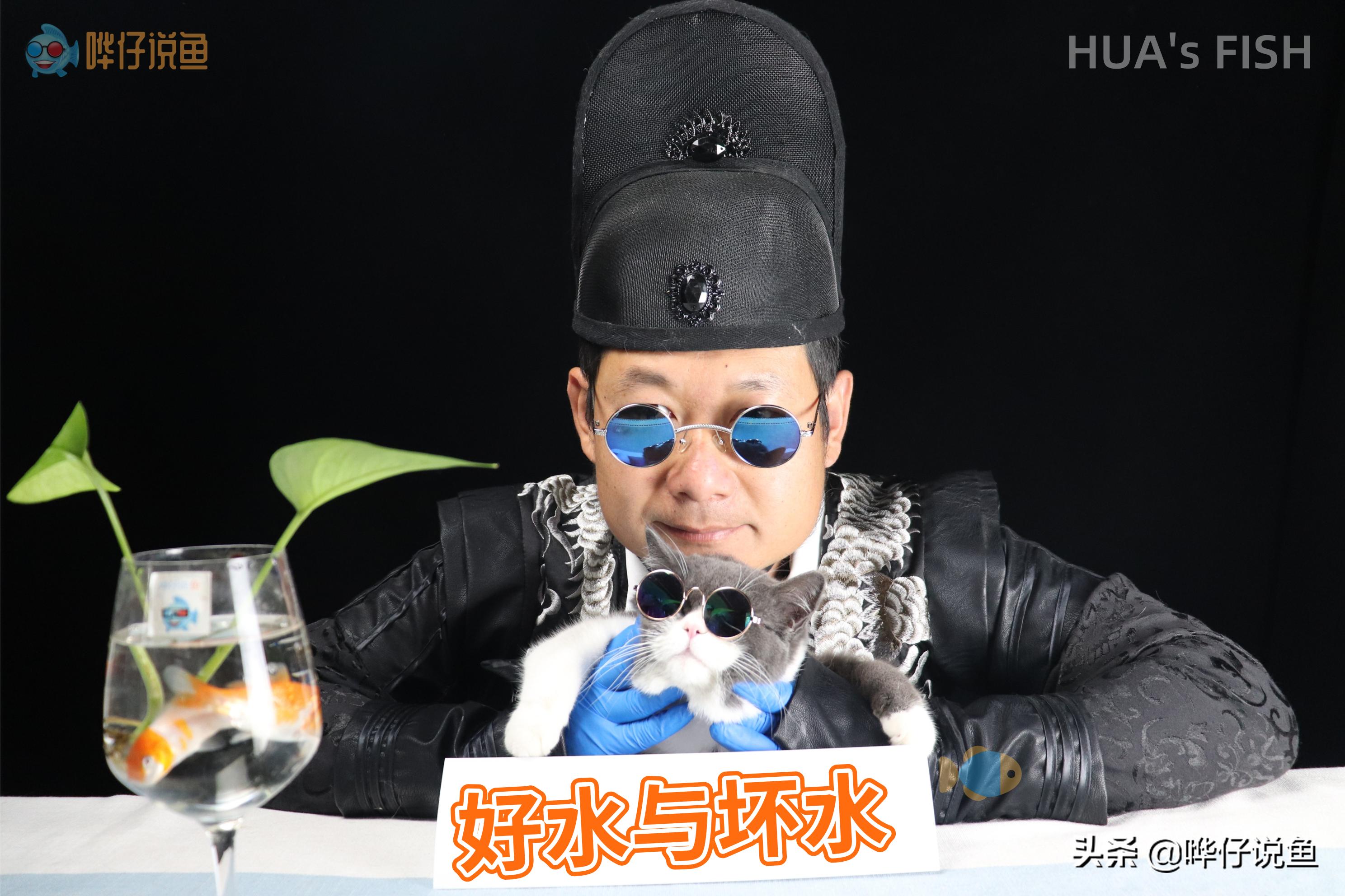 如何测试鱼缸水质酸碱度,如何测定鱼缸水质