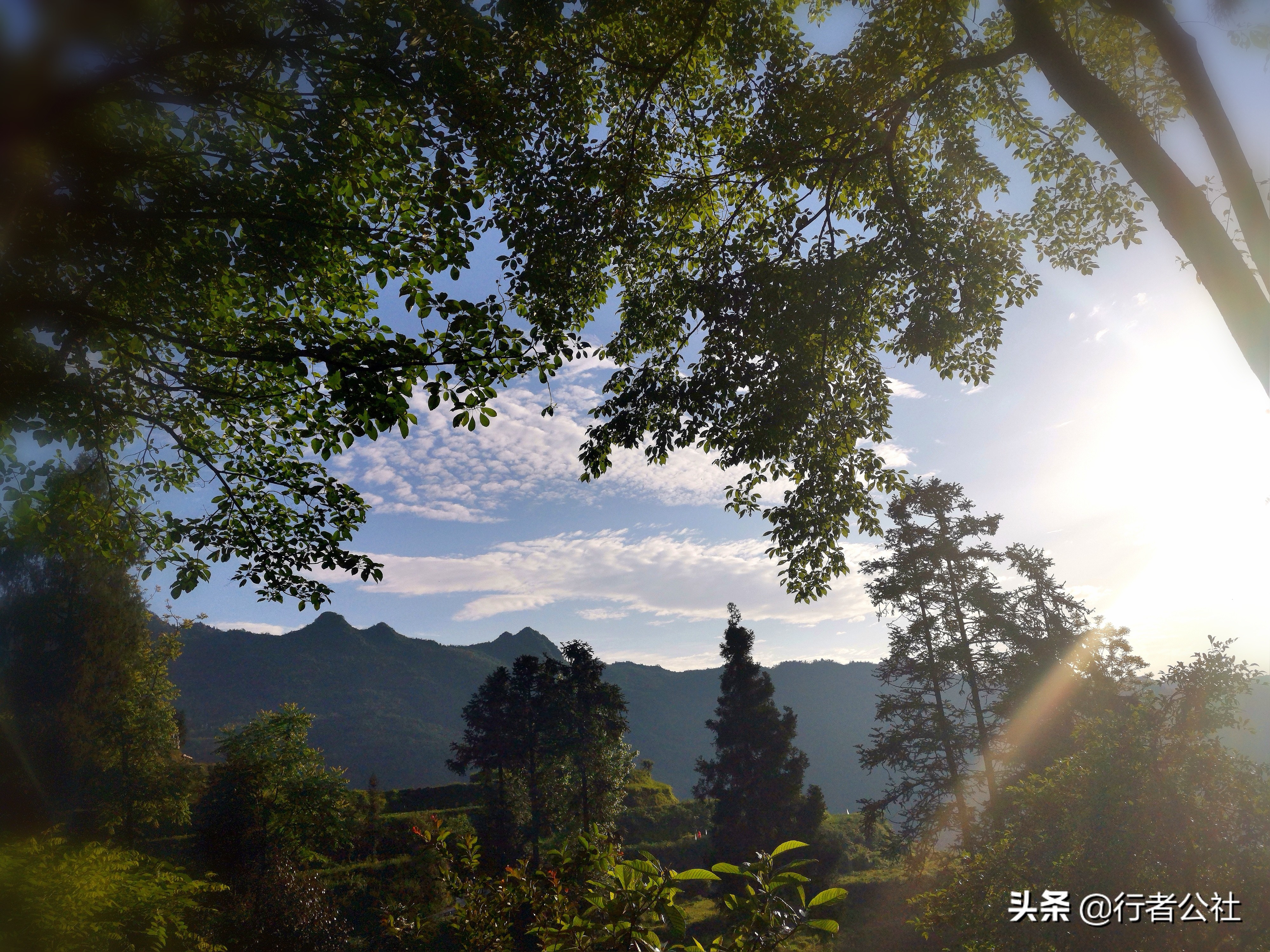 雨后青山云雾缭绕温度宜人,雨后青山云雾缭绕
