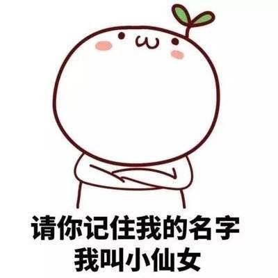 适合痘痘肌的爽肤水,适合痘痘肌修复的爽肤水