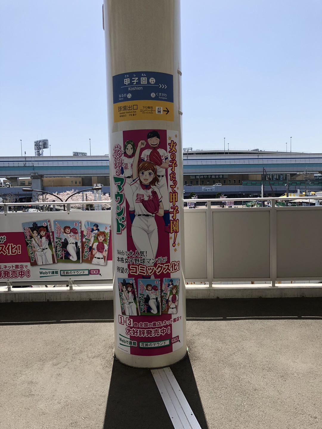 平成最后一届甲子园,平成最后一个樱花节