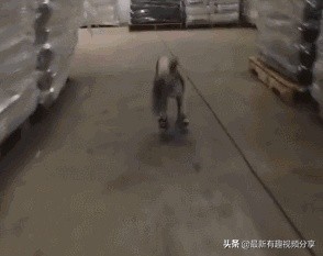 秘鲁疫情最新今天的消息,秘鲁疫情为什么这么厉害