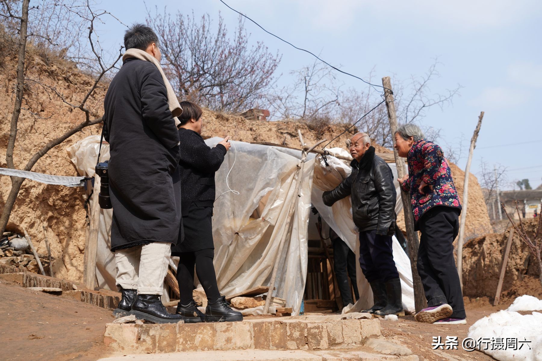 山西8旬大爷把母猪当宠物养,1窝小猪卖14600元,无本生意