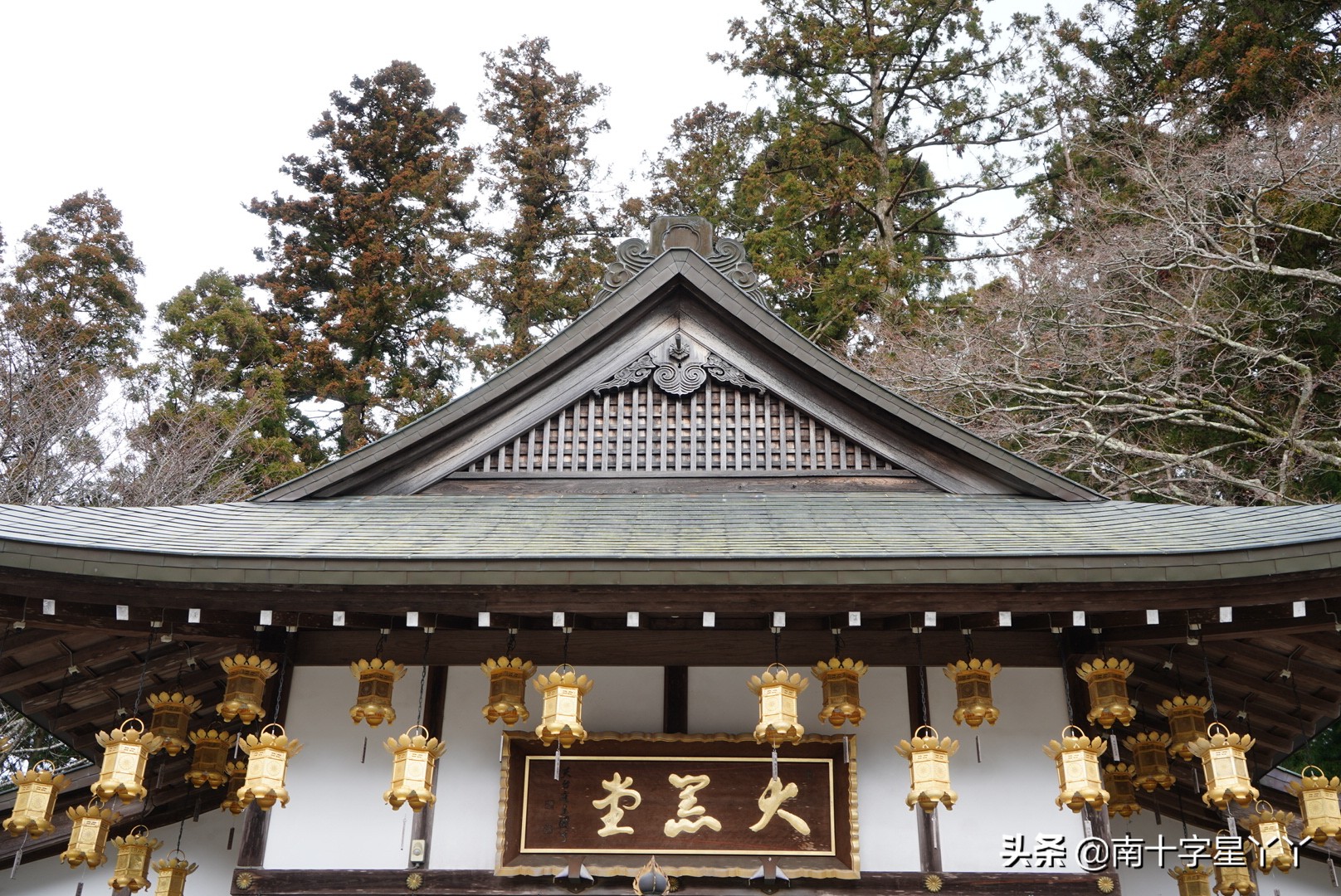 这个樱花季,造访SKII神仙水的水源地