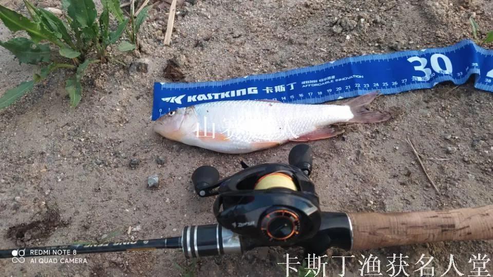 「渔获名人堂周榜」这两位粉丝钓友，你们太牛了