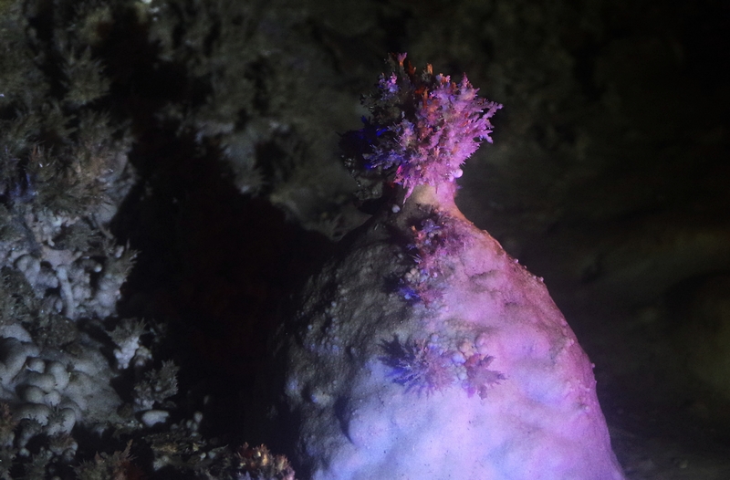 北京石花洞温度,北京石花洞景区