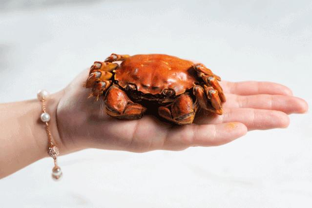 闈㈠寘锜硅秴澶ф弧锜归粍鏂伴矞鐔熷喕,瓒呰悓闈㈠寘