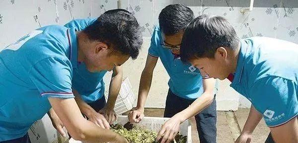 80后创业养殖青蛙视频,农民养青蛙致富项目