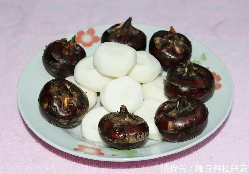 俗称地下雪梨的水果是什么品种,什么水果被称为地下雪梨