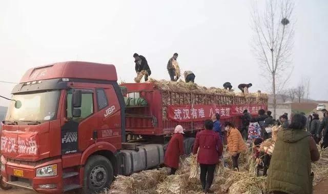 如果疫情再下去你能熬多久,假如疫情不退你们能坚持多久