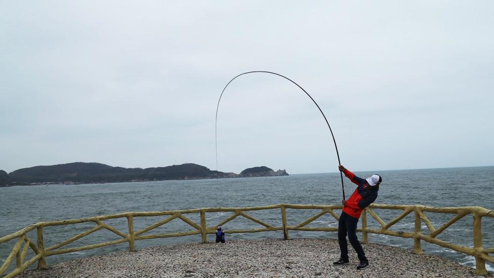 鱼竿最近价格为什么便宜了,鱼竿价格一般多少钱一根