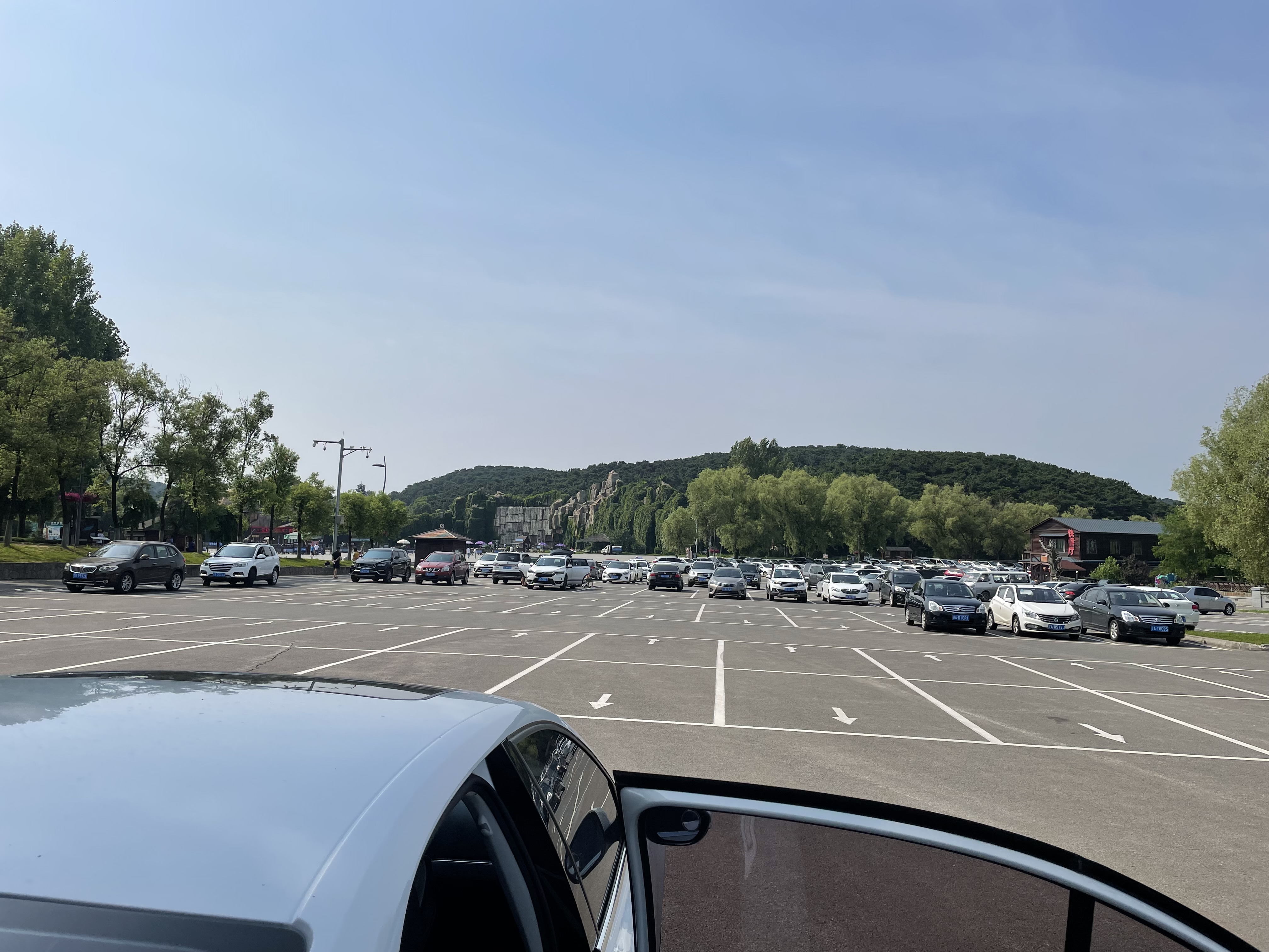 沈阳森林动物园春游,五一小长假去沈阳森林动物园游玩