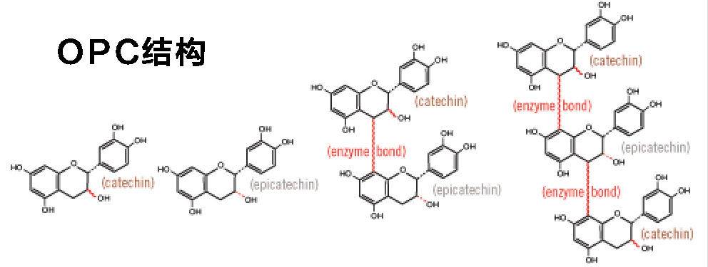 葡萄籽胶原蛋白淡斑,平价美白葡萄籽