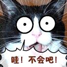 海关归类错误进缉私有哪些处罚,海关如果查出未申报品名怎么办